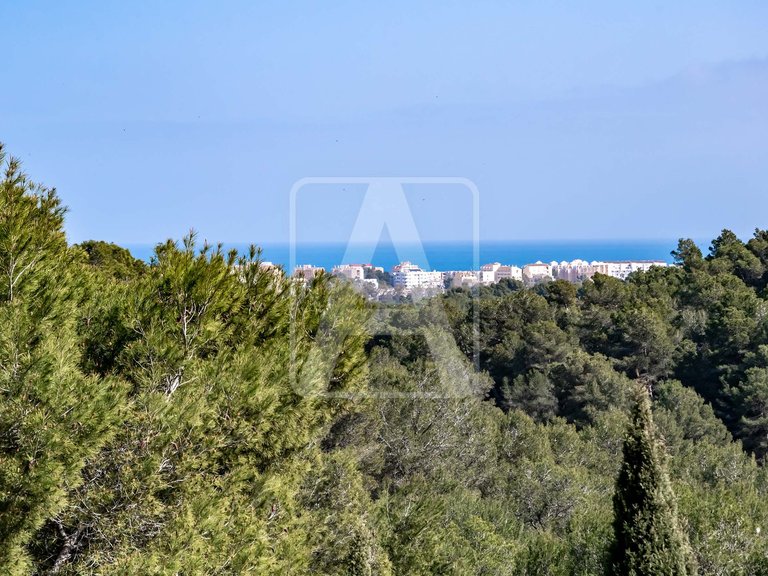 Villa for Sale in Jávea, Alicante 17