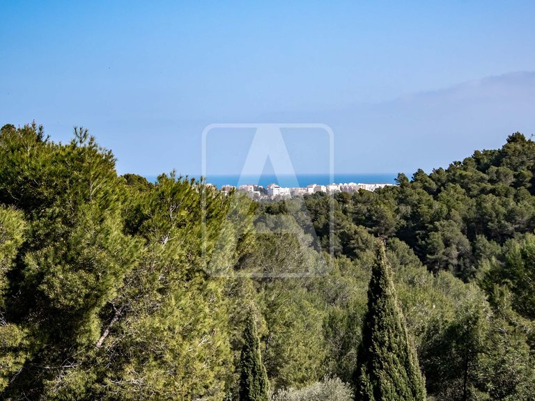 Villa for Sale in Jávea, Alicante 41