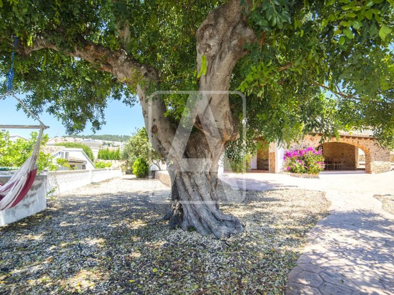 Villa for Sale in Calpe, Alicante 31