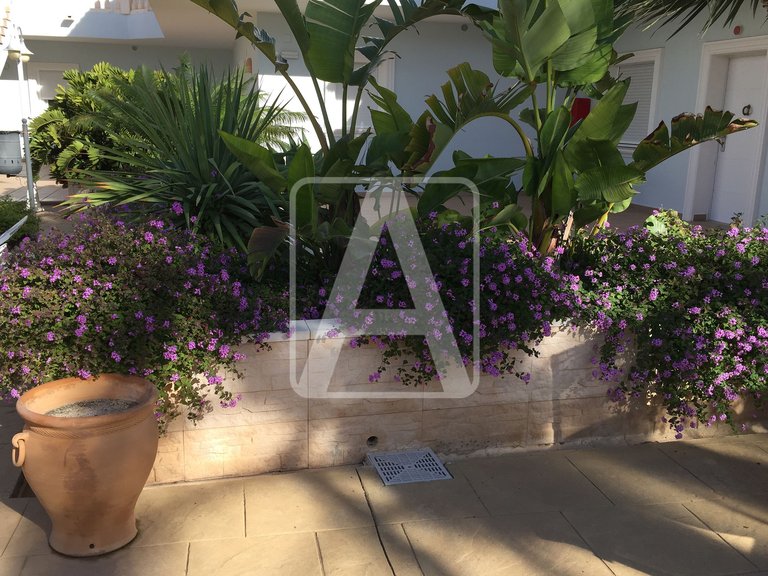 Apartment for Sale in Benissa, Alicante 22