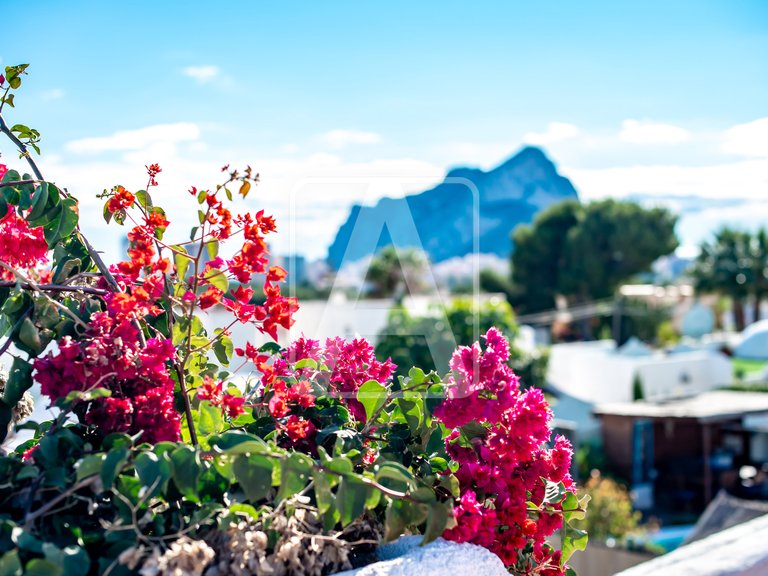 Villa for Sale in Calpe, Alicante 10