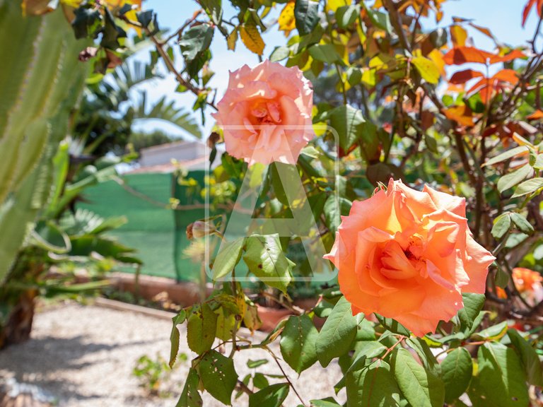 Villa for Sale in Benissa, Alicante 47