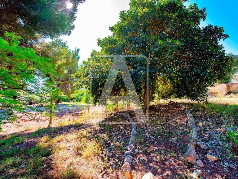Villa for Sale in Moraira, Alicante 7