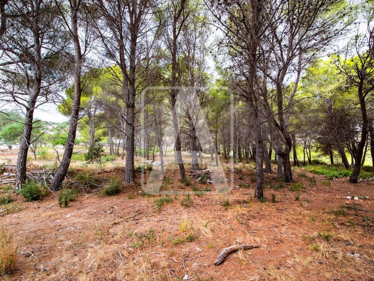 Villa for Sale in Moraira, Alicante 9