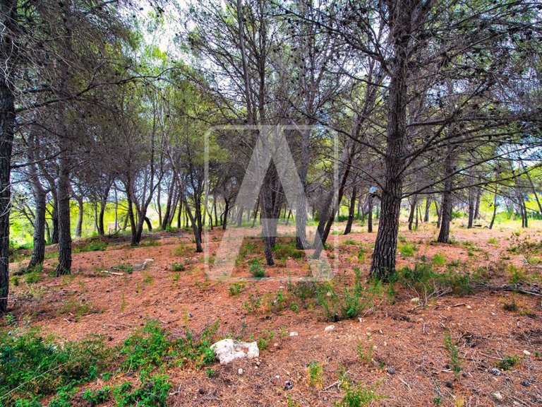 Villa for Sale in Moraira, Alicante 9