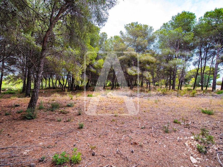 Villa for Sale in Moraira, Alicante 9