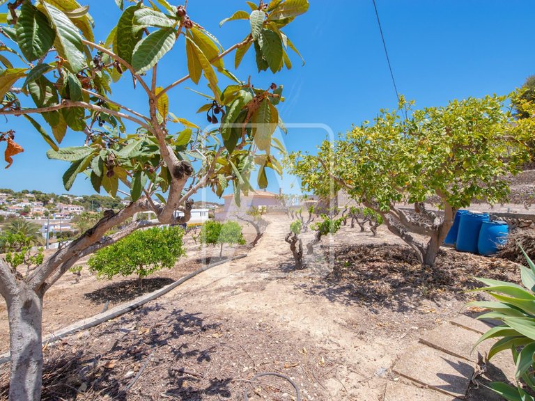 Villa for Sale in Benissa, Alicante 42