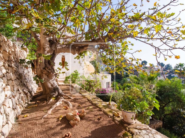 Villa for Sale in Benissa, Alicante 44