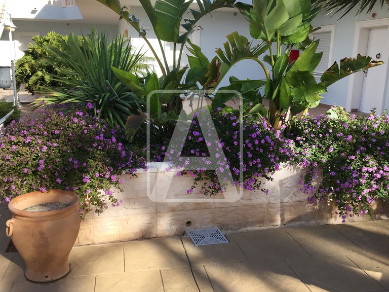 Apartment for Sale in Benissa, Alicante 19