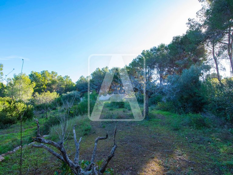 Villa for Sale in Benissa, Alicante 11