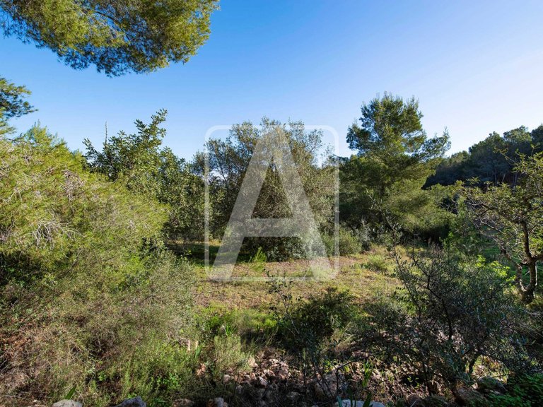 Villa for Sale in Benissa, Alicante 2