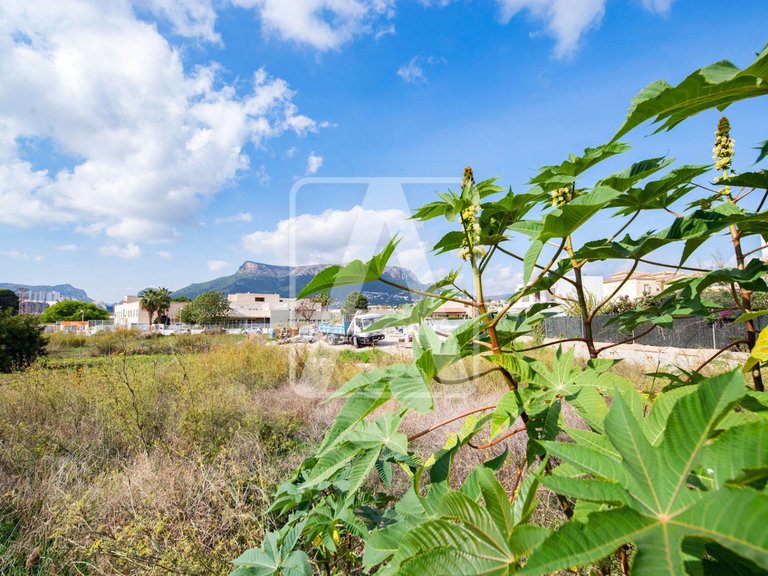 Villa for Sale in Calpe, Alicante 10