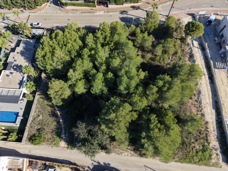 Plot for Sale in Costa Blanca Javea, Alicante 2