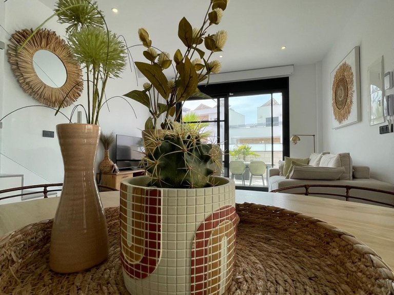 Villa for Sale in Benijofar, Alicante 18