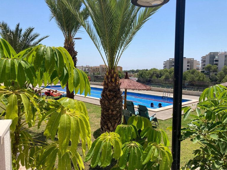 Apartment for Sale in Los Dolses, Alicante 37