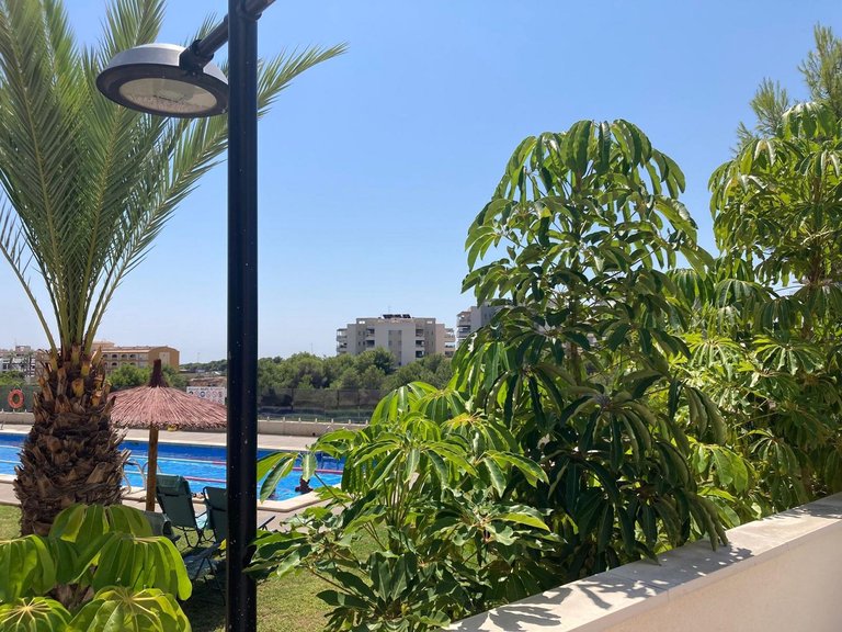 Apartment for Sale in Los Dolses, Alicante 35