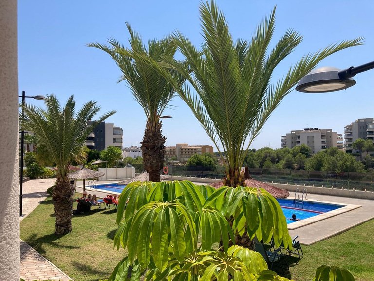 Apartment for Sale in Los Dolses, Alicante 36
