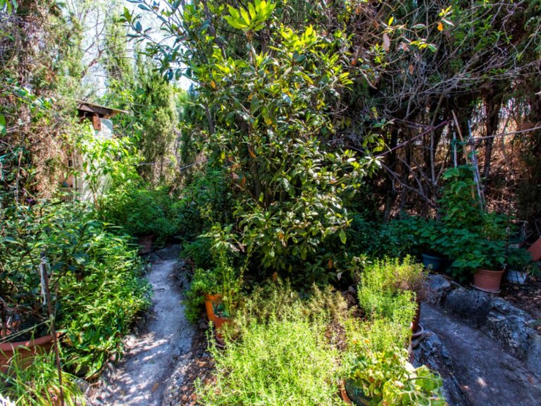 Villa for Sale in Costa Blanca Calpe, Alicante 9