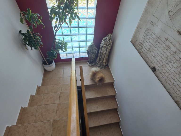 Villa for Sale in Costa Blanca Alfas Del Pi, Alicante 24