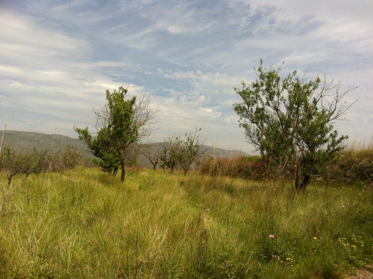 Plot for Sale in Costa Blanca Benissa, Alicante 5