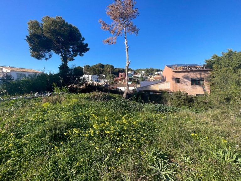 Plot for Sale in Costa Blanca Moraira, Alicante 6