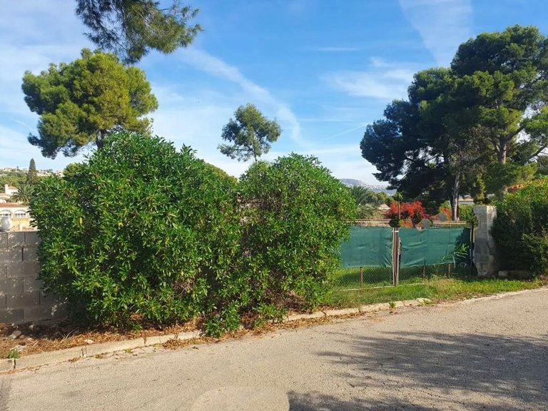 Plot for Sale in Costa Blanca Moraira, Alicante 7