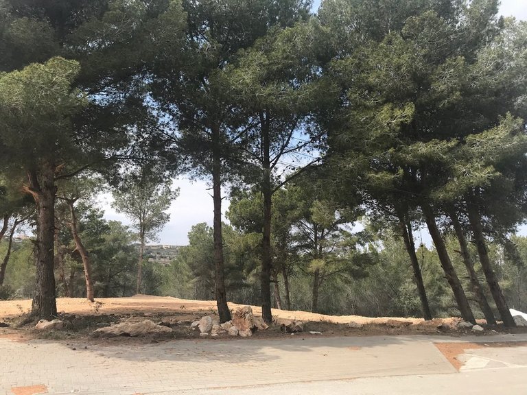 Plot for Sale in Costa Blanca Moraira, Alicante 3