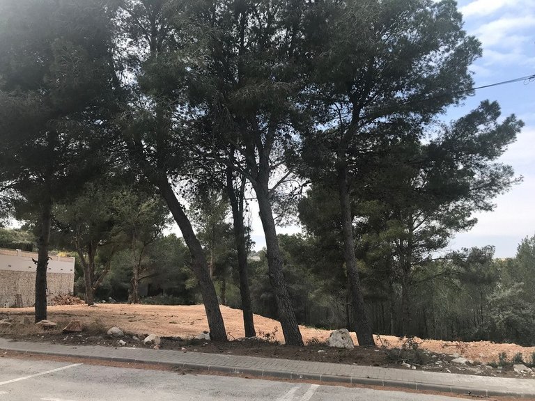 Plot for Sale in Costa Blanca Moraira, Alicante 4