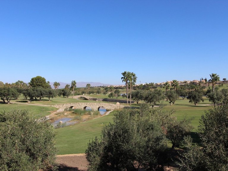 Villa for Sale in Algorfa, Alicante 8