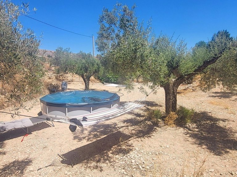 Country House for Sale in La Romana, Alicante 17