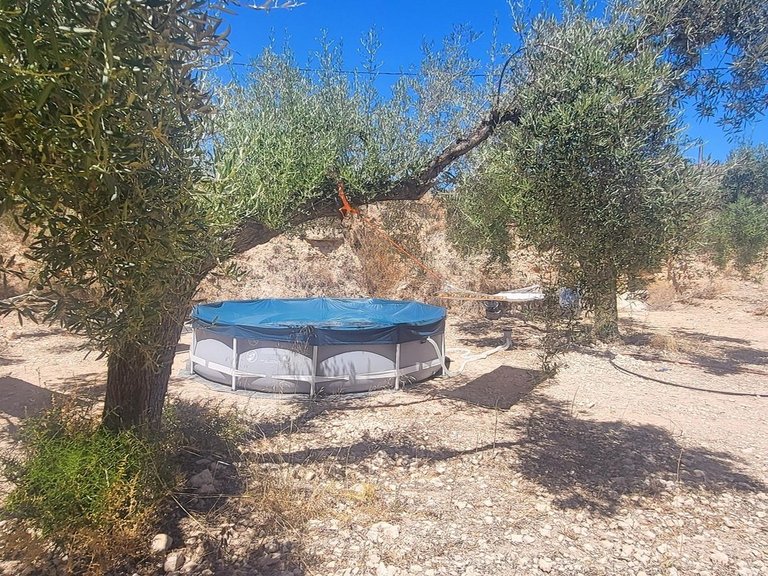 Country House for Sale in La Romana, Alicante 19