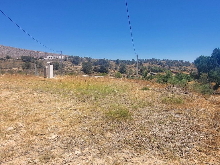 Country House for Sale in La Romana, Alicante 22