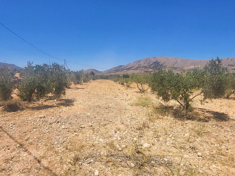 Country House for Sale in La Romana, Alicante 24