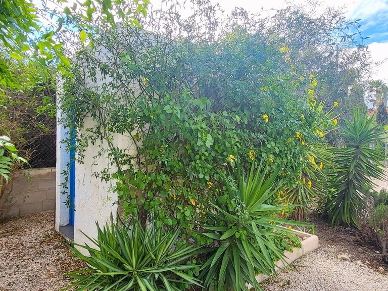 Villa for Sale in Aspe, Alicante 32