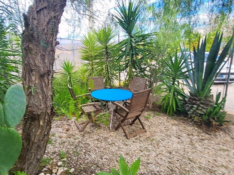 Villa for Sale in Aspe, Alicante 42