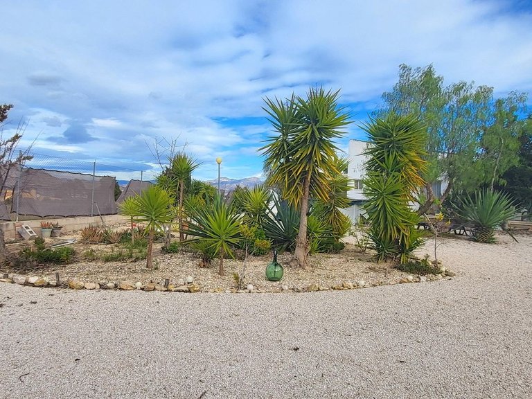 Villa for Sale in Aspe, Alicante 50