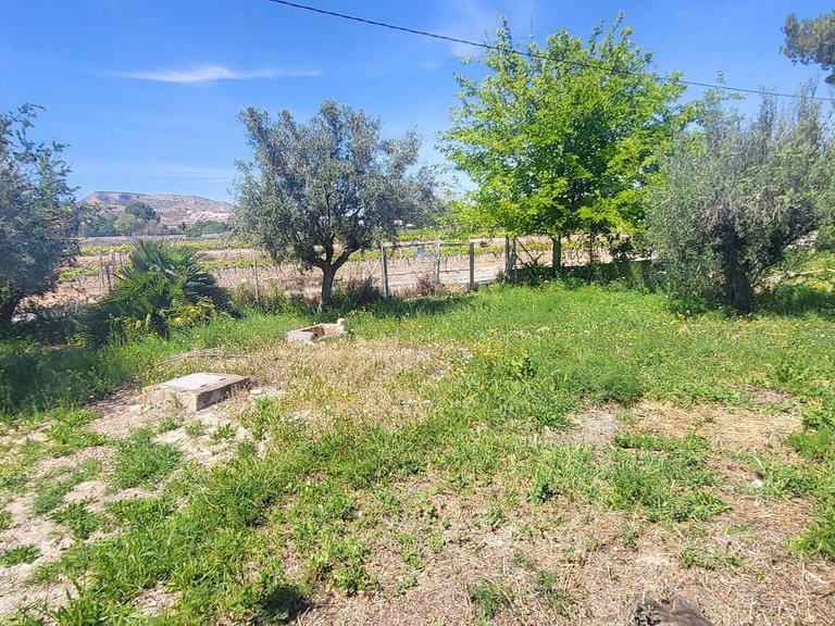 Villa for Sale in La Romana, Alicante 25