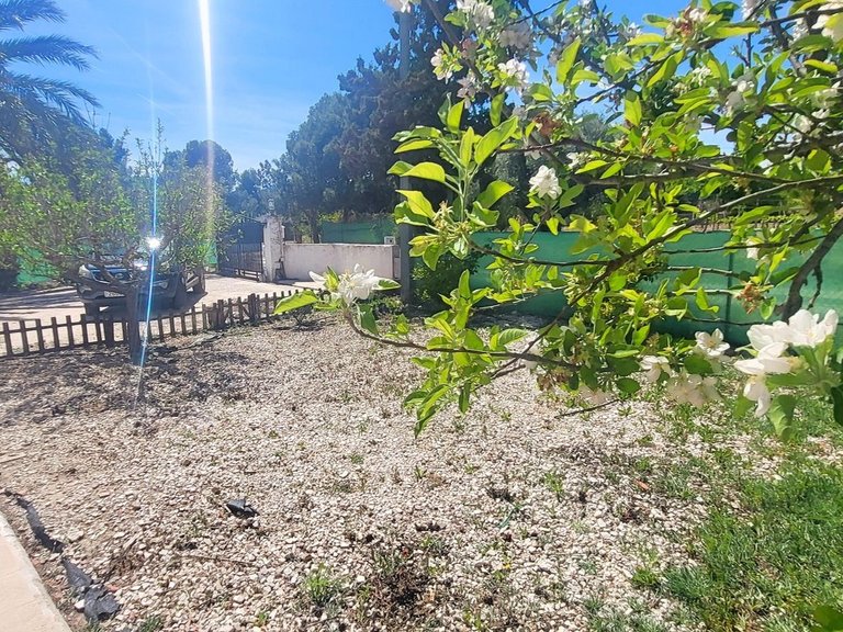 Villa for Sale in La Romana, Alicante 28