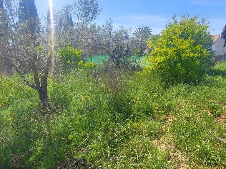 Villa for Sale in La Romana, Alicante 36