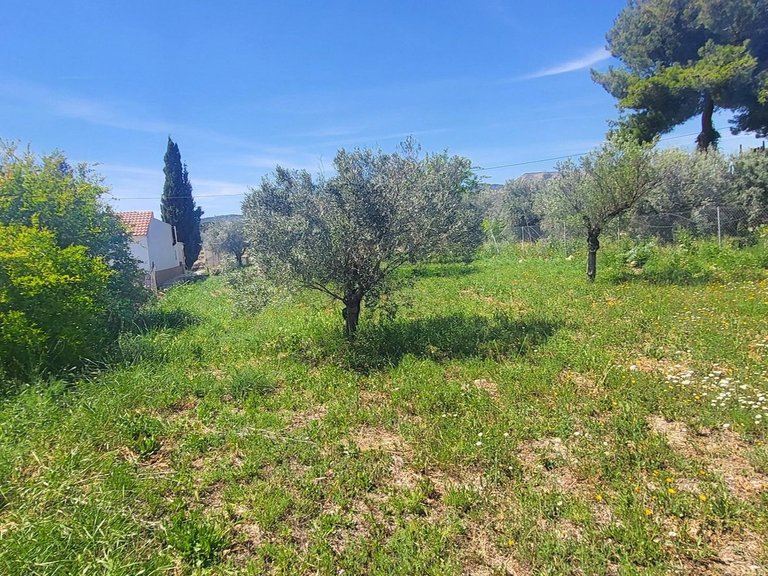 Villa for Sale in La Romana, Alicante 37