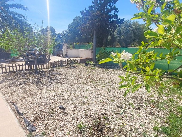 Villa for Sale in La Romana, Alicante 31