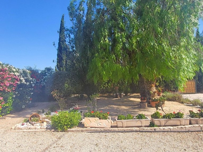 Villa for Sale in Novelda, Alicante 11