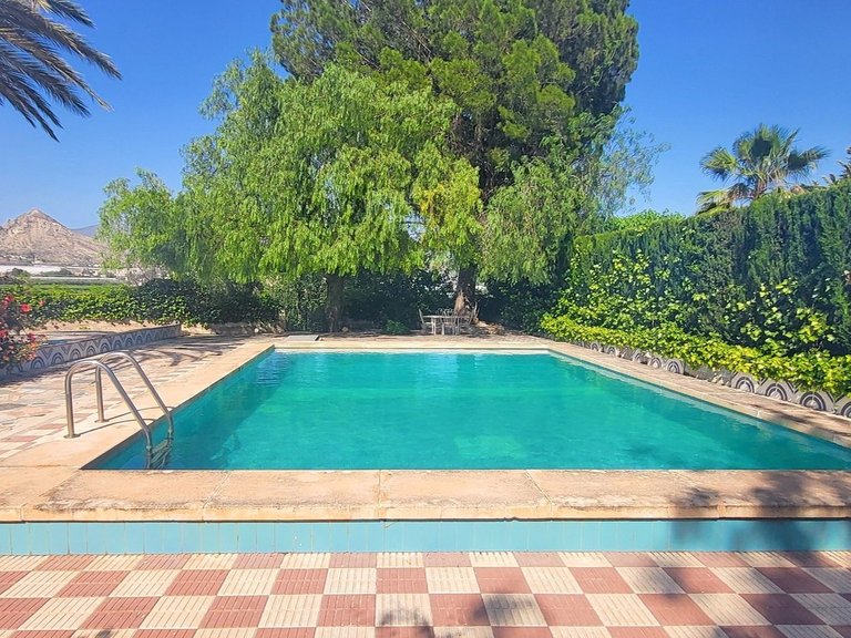 Villa for Sale in Novelda, Alicante 10
