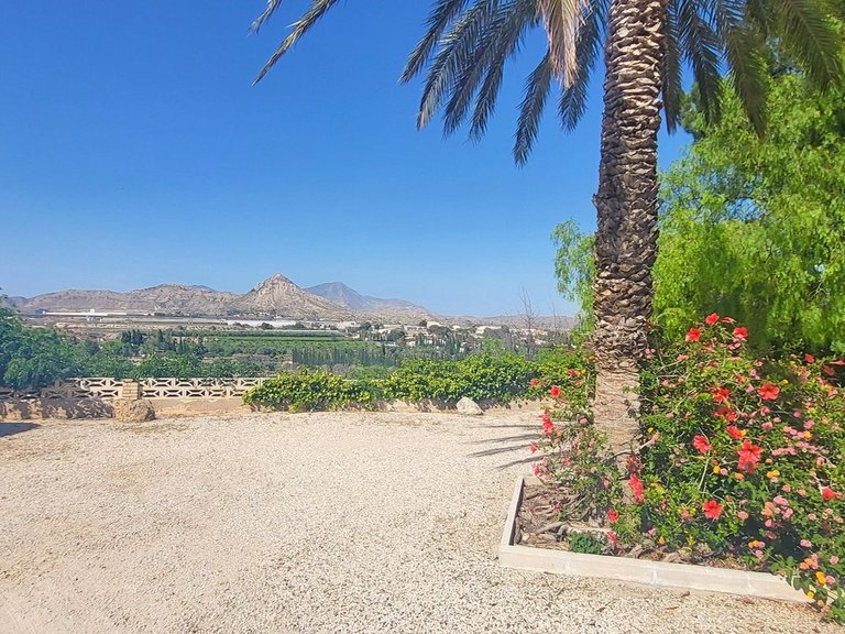 Villa for Sale in Novelda, Alicante 9