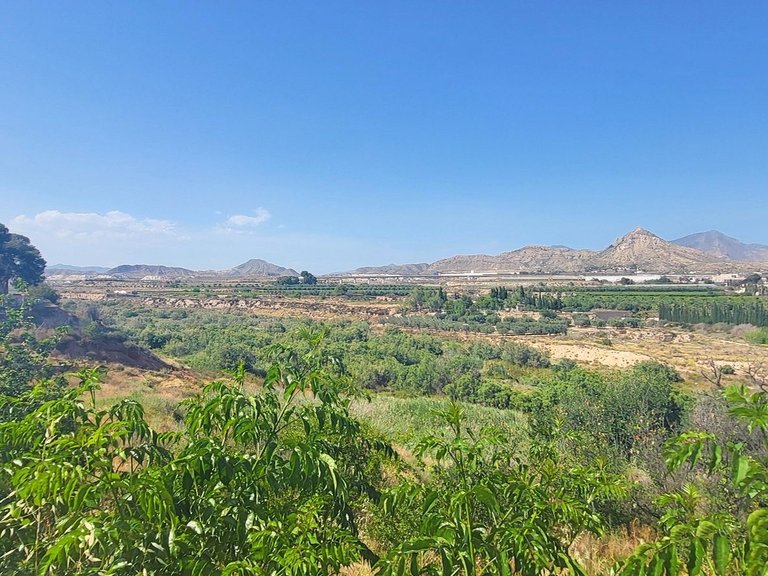 Villa for Sale in Novelda, Alicante 7