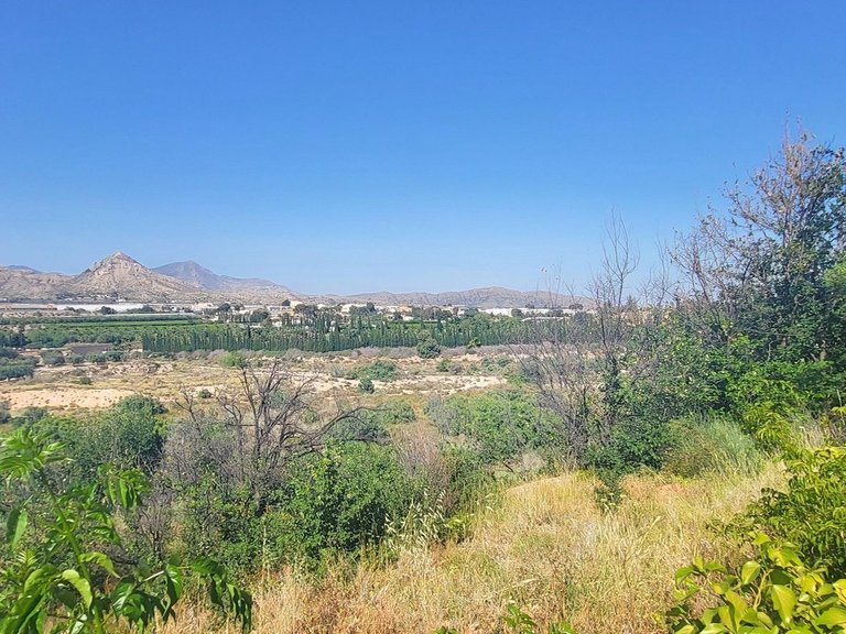 Villa for Sale in Novelda, Alicante 8