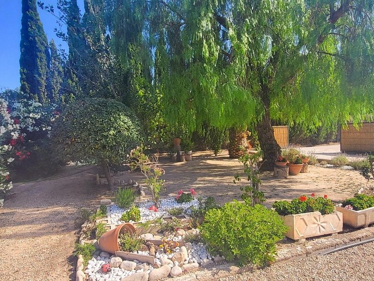Villa for Sale in Novelda, Alicante 12