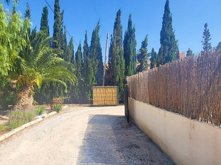 Villa for Sale in Novelda, Alicante 23