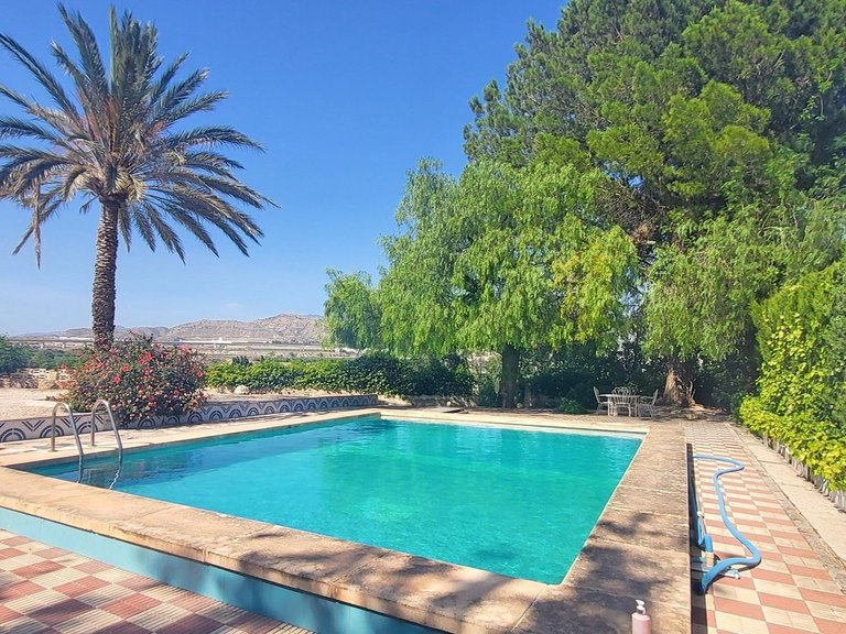 Villa for Sale in Novelda, Alicante 4