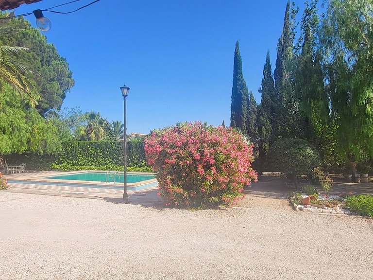 Villa for Sale in Novelda, Alicante 21